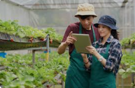 Thailand Selatan Kembangkan Smart Farm untuk Sejahterakan Masyarakat